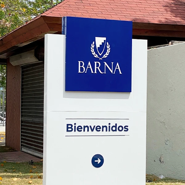 barna cuadrado